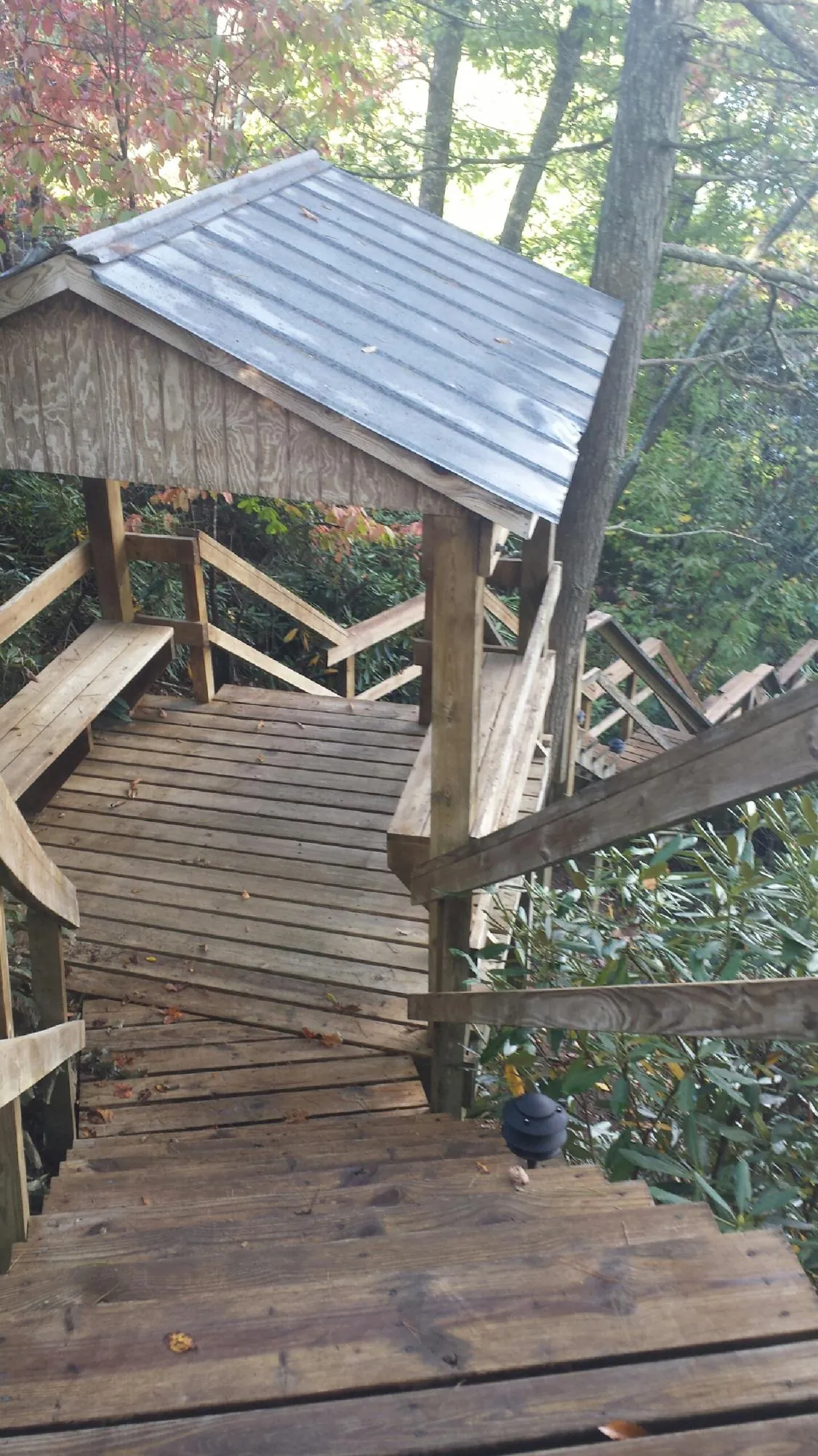 Metal roofed shelter over wooden steps on a wooded walkway — Skylight Repair & Installation work by our crew in Donalds